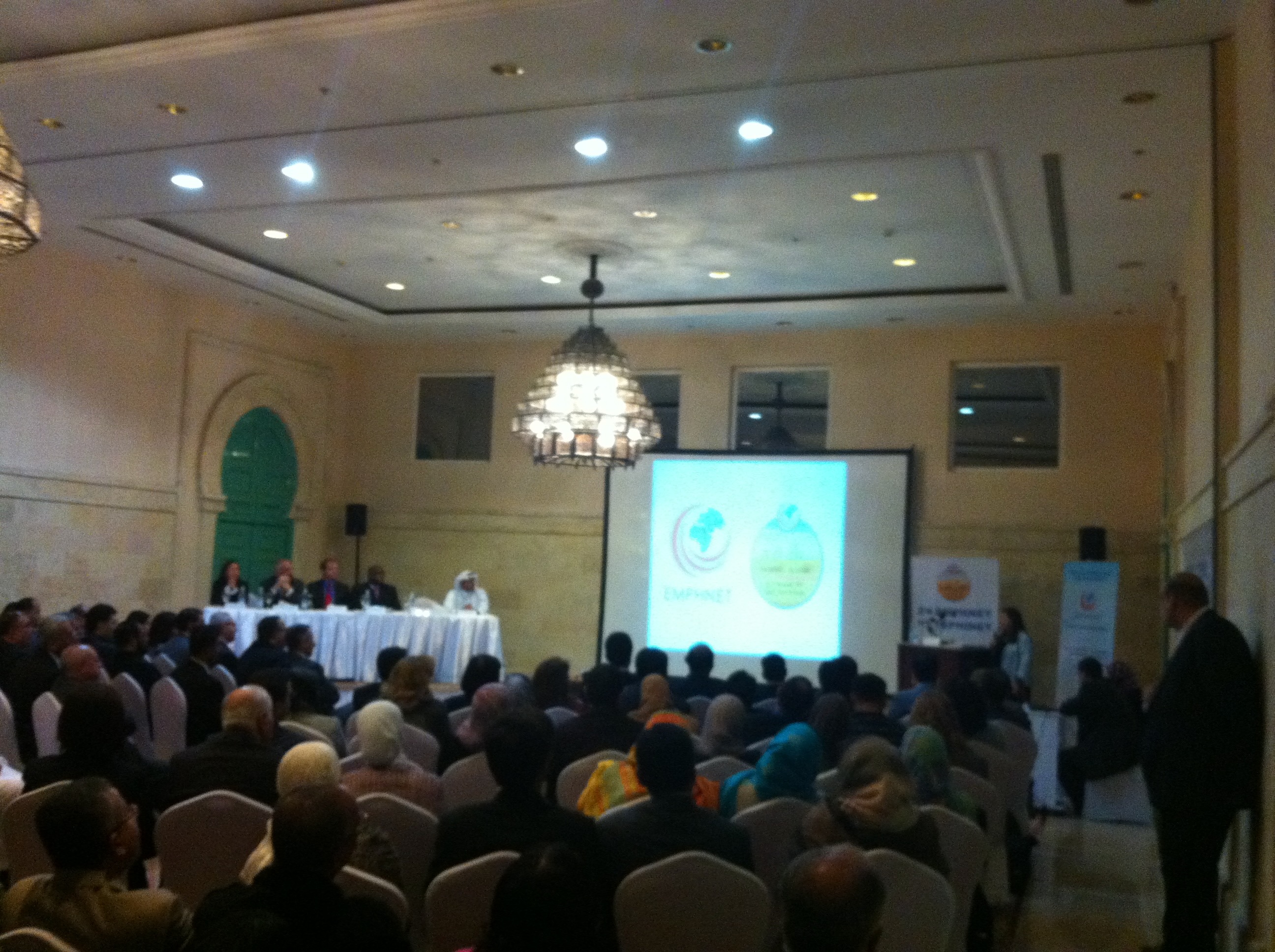 Pandemic Ethics Meeting in Egypt